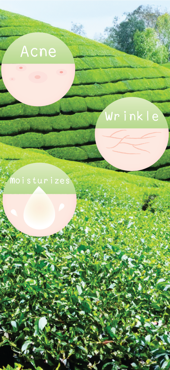 LABEL + MOCK UP (2D,3D)