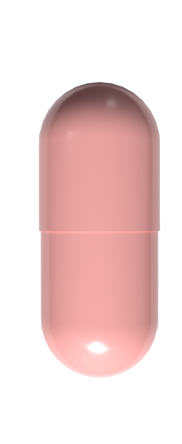 BUILD MODEL 3D + BANNER