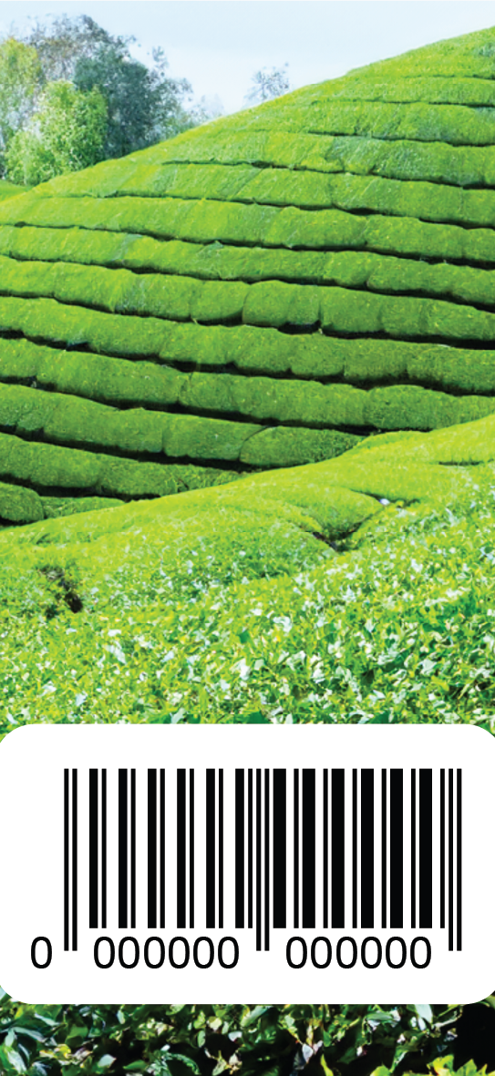LABEL + MOCK UP (2D,3D)